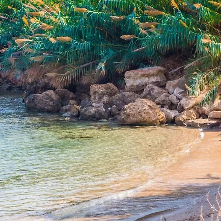 Queen Valeria * Protaras